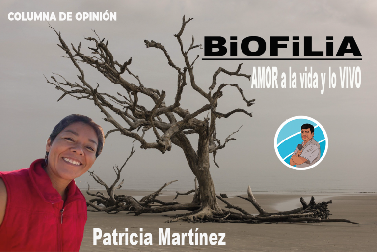 Sin título-1