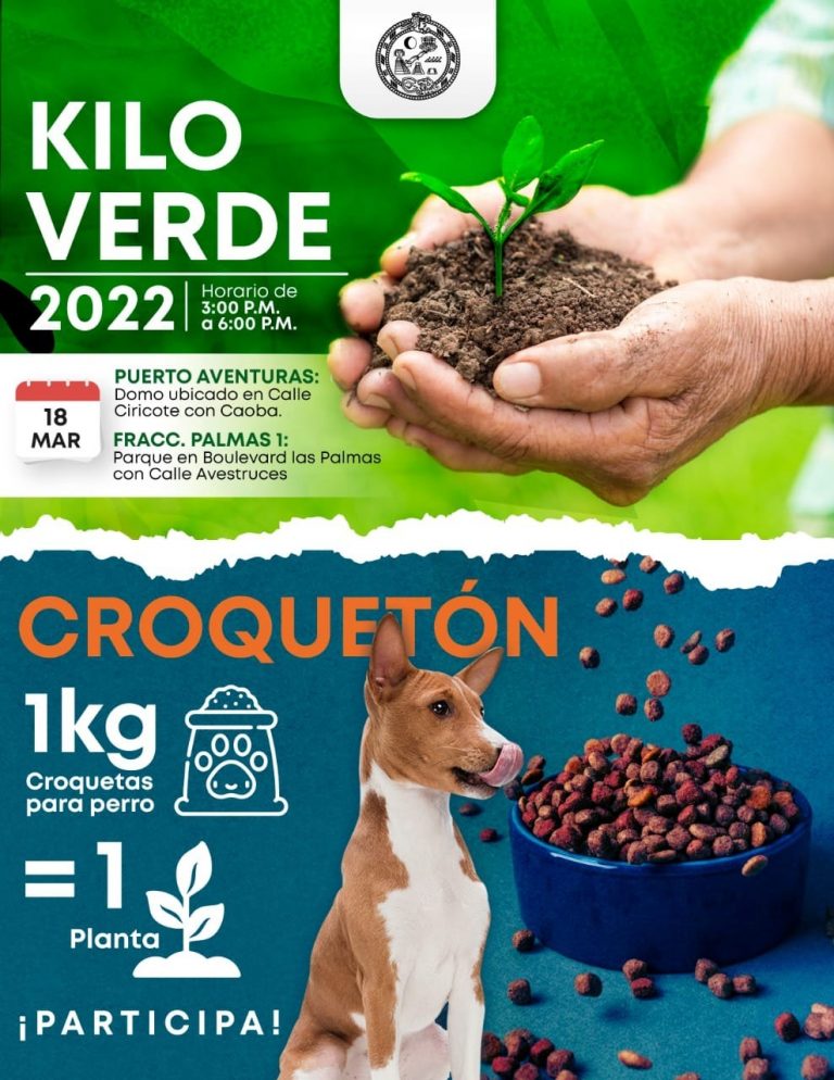 croqueta